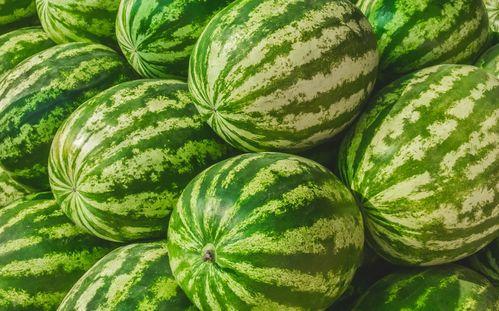 圆三视频里吃瓜,揭秘吃瓜群众的趣味与智慧