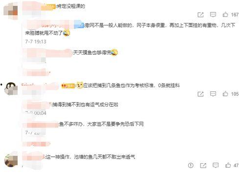 瓜瓜吃瓜课后反思,从娱乐现象看社会心态
