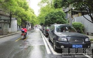 东莞吃瓜停车,街头一幕引发热议