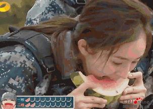 动物变吃瓜群众,揭秘它们的围观生活