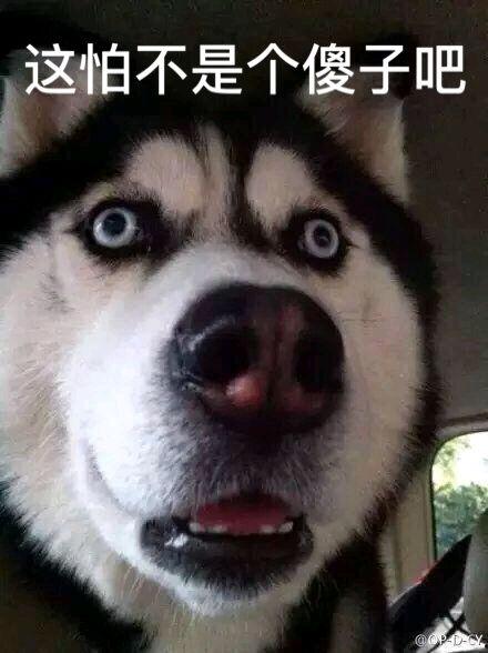 漫展jk吃瓜,JK萌妹吃瓜热议，揭秘二次元圈层趣闻