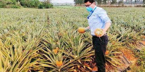 海南大学吃瓜群众,吃瓜群众眼中的校园生活剪影