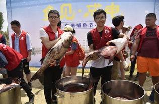 海南大学吃瓜群众,吃瓜群众眼中的校园生活剪影