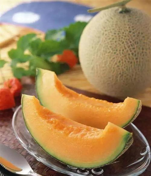 打了狂犬吃哈密瓜,一场意外的味蕾冒险