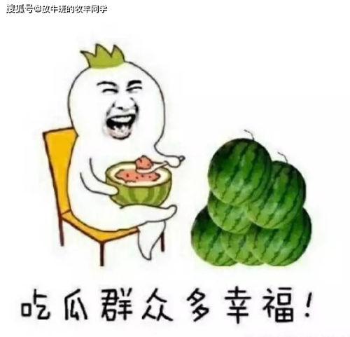 麻将吃瓜,揭秘吃瓜背后的麻将文化