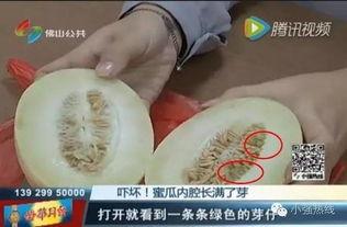 随机吃瓜16,揭秘娱乐圈背后的秘密与真相