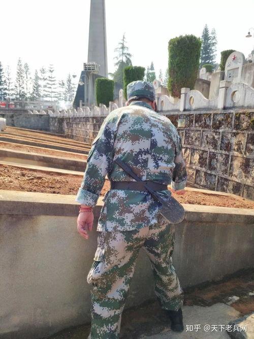 吃瓜穿上绿军衣,揭秘篮球场上的欢乐时光