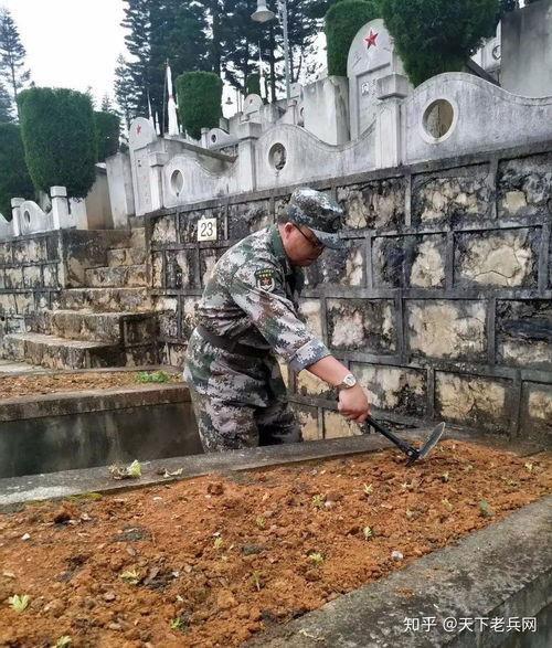 吃瓜穿上绿军衣,揭秘篮球场上的欢乐时光