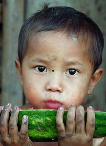 少年吃瓜,揭秘校园里的八卦风云