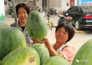 疫情小区吃瓜,小区吃瓜，见证邻里温情与防疫智慧