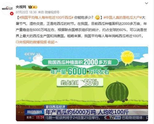 吃瓜.中国网站,网络舆论场上的热点追踪与深度解析