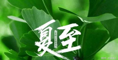 夏至吃三瓜中医说法,中医推崇的“三瓜”食疗之道