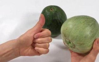 吃小瓜吃不熟的没事吗,食用无害？揭秘小瓜生食的真相