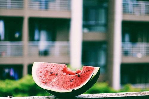 踮脚吃瓜,揭秘网络热议背后的趣味与真相