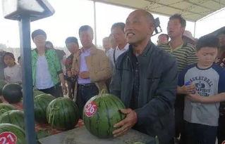 建湖吃瓜群众,揭秘当地生活百态