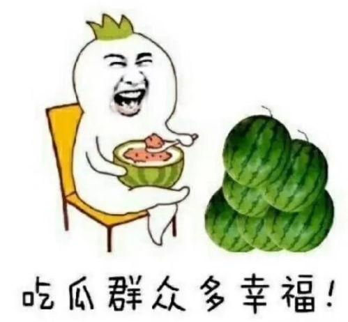 日常快乐吃瓜,轻松解锁生活小确幸