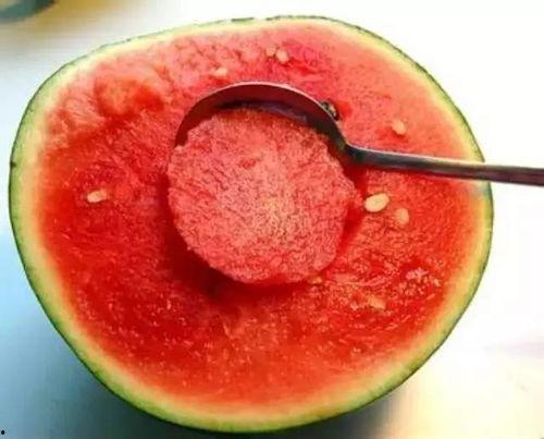 吃西瓜的瓜兮兮,吃西瓜的悠闲时光