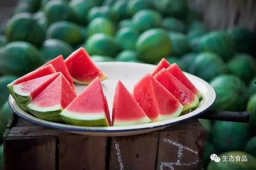 吃西瓜的瓜兮兮,吃西瓜的悠闲时光