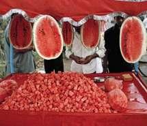 风情吃瓜,揭秘美食背后的文化风情