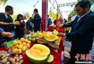 风情吃瓜,揭秘美食背后的文化风情