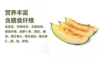 哈密哥吃瓜,揭秘娱乐圈幕后故事