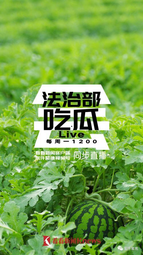 案件聚焦吃瓜,揭秘吃瓜群众的狂欢与真相