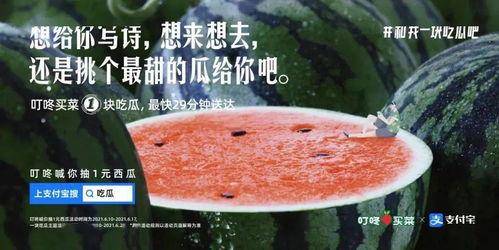 宣传吃瓜文案短句,跟随吃瓜文案，畅游美味世界