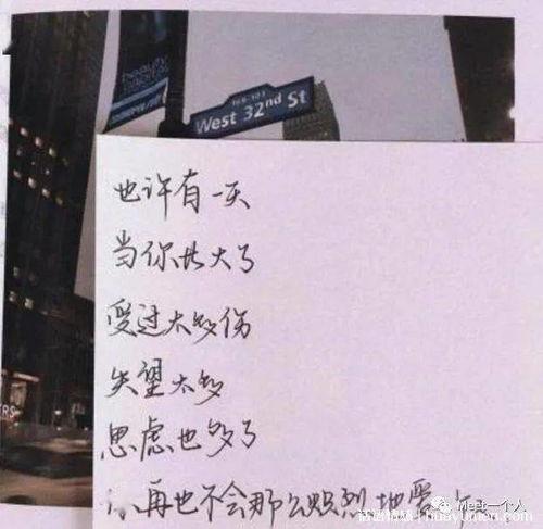 宣传吃瓜文案短句,跟随吃瓜文案，畅游美味世界