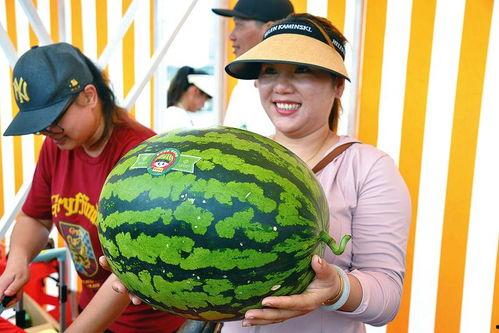 11.吃瓜,揭秘娱乐圈的幕后故事