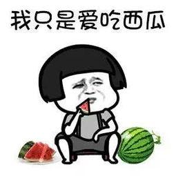 日常快乐吃瓜,轻松解锁生活小确幸