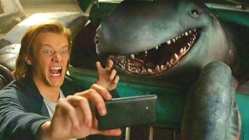 怪兽吃瓜视频大全,趣味视频大全集锦