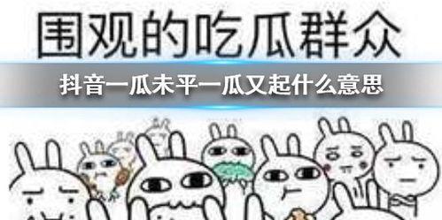 抖音最新吃瓜资源,揭秘娱乐圈幕后真相，带你领略明星们的真实生活