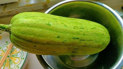 吃馅的瓜是什么瓜,揭秘吃馅瓜的独特魅力