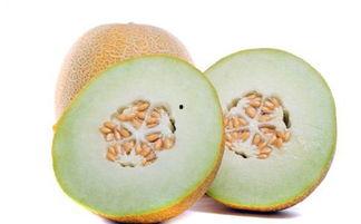 好老师吃哈密瓜,甜蜜教育之旅