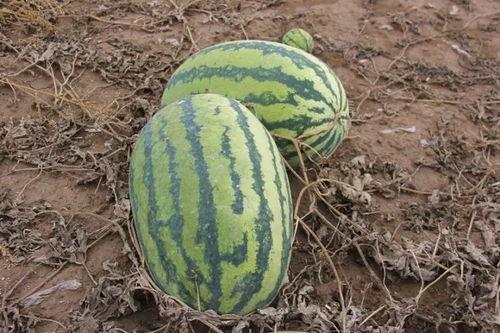 小染吃瓜,揭秘娱乐圈那些不为人知的幕后故事