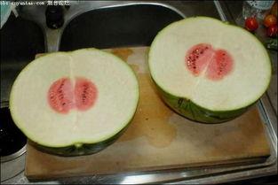 吃瓜极品系列,一场视觉与味蕾的双重盛宴