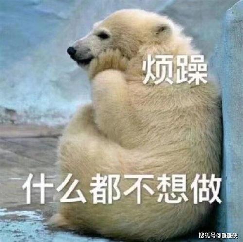 吃瓜群众图片瓜子,揭秘吃瓜群众与瓜子之间的奇妙缘分