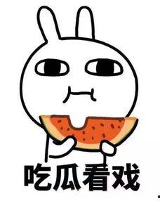 阿布的吃瓜日常,揭秘娱乐圈幕后故事