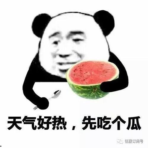 带你吃瓜理发师