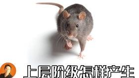 吃瓜大军来袭,揭秘娱乐圈风云变幻