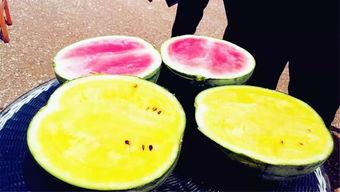 几个月宝吃瓜,几个月宝的甜蜜吃瓜日记