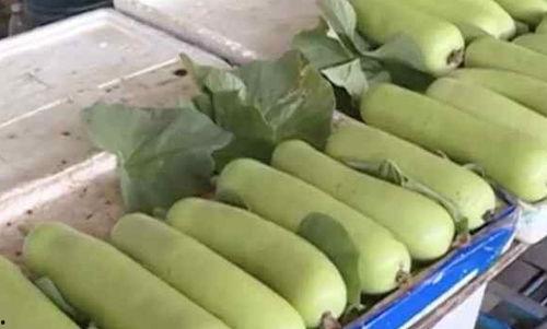 郑州四中吃瓜,揭秘校园网络热传背后的真相