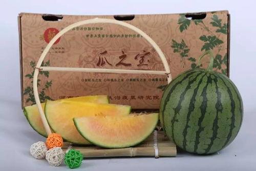 郑州四中吃瓜,揭秘校园网络热传背后的真相