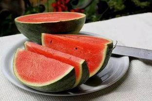 郑州四中吃瓜,揭秘校园网络热传背后的真相