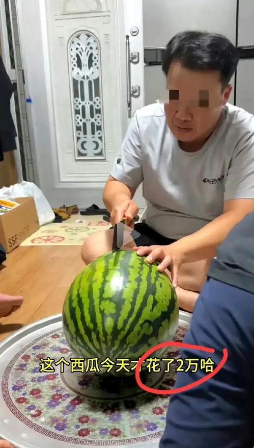 如何吃自己的瓜,揭秘如何巧妙地吃自己的瓜