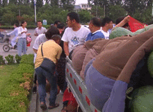 滑县吃瓜事件,一场引发社会关注的网络风波