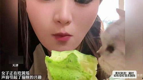 女子在线吃瓜,女子在线吃瓜，揭秘娱乐圈幕后真相