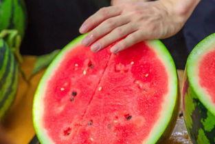 学校吃瓜河南,吃瓜群众揭秘校园生活点滴