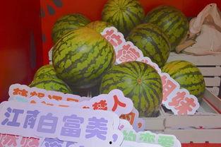 荷塘吃瓜绘画,一幅夏日田园画卷