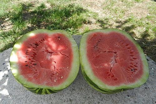 梦见领导吃瓜,揭秘领导吃瓜背后的寓意与启示